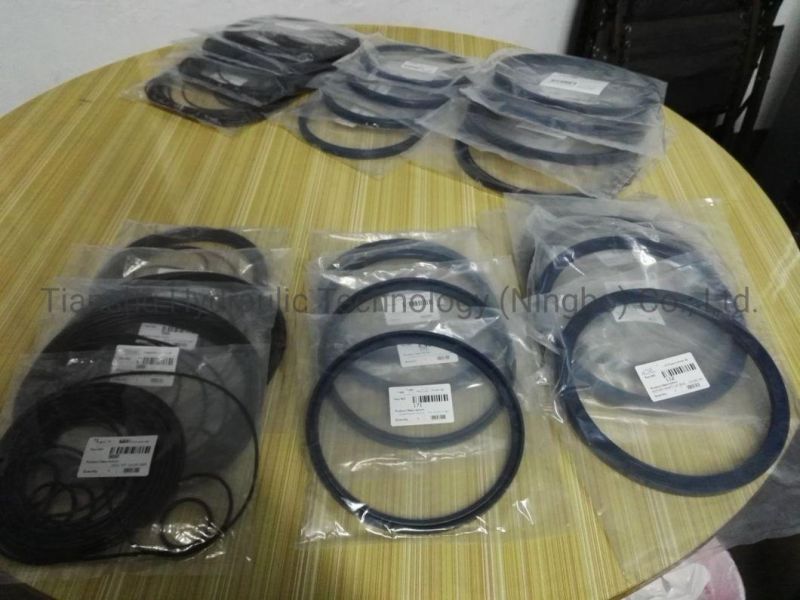 Hydraulic Spare Parts Shaft Lip Seal, Piston Ring, Wearing Part for Hagglunds Hydraulic Motor.