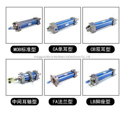 Bore 40-250mm, Max. Stroke 1000mm Hydraulic Cylinder