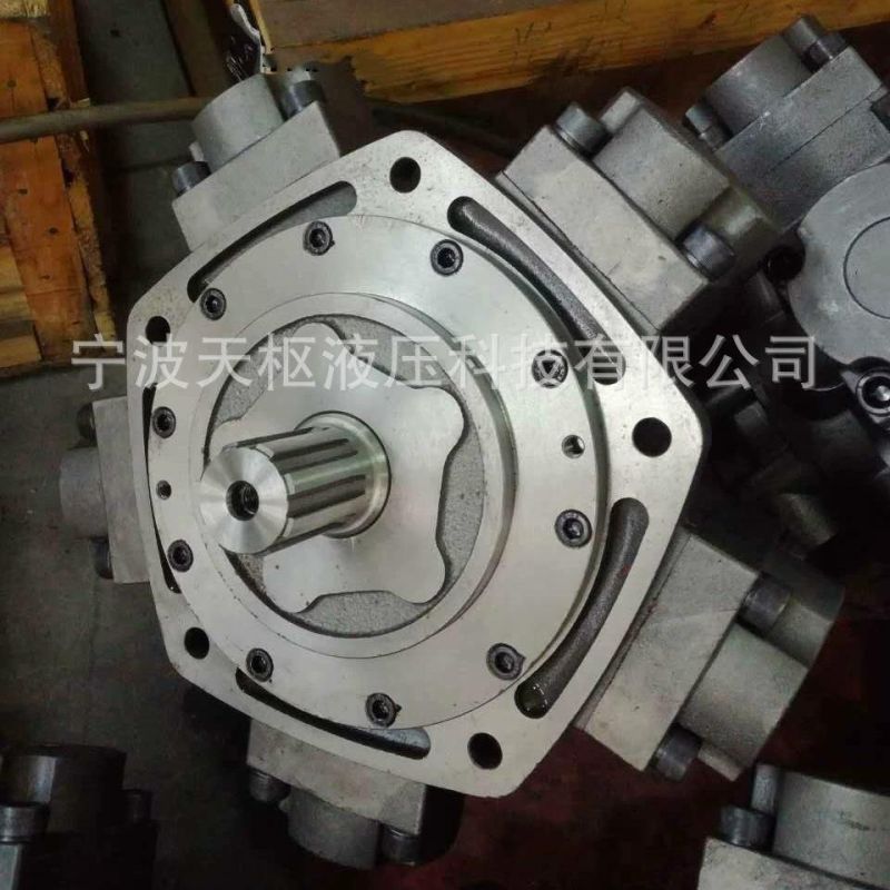 Made in China Extraodinary Quality Replace Intermot Five Star Radial Piston Hydraulic Motor R8c3000 H6 / Iac3000.