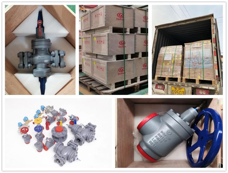 China Manufacturer Ammonia Refrigerant Overflow Valve