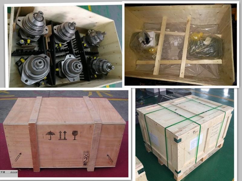 Hydraulic Engining Motor for Construction Machinery Hydraulic Parts A6vm107 Serise