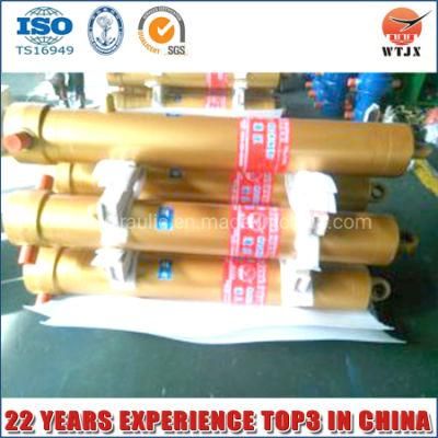 Hot Sale Fe Telescopic Hydraulic Cylinder for Dump Truck or Tipper with Ts16949