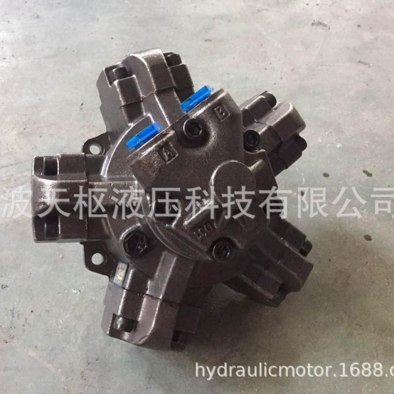 Italy Intermot Low Speed High Torque Hidrolik Radial Piston Hydraulic Oil Motor for Injection Molding Machine R8c3000 H6 / Iac3000.