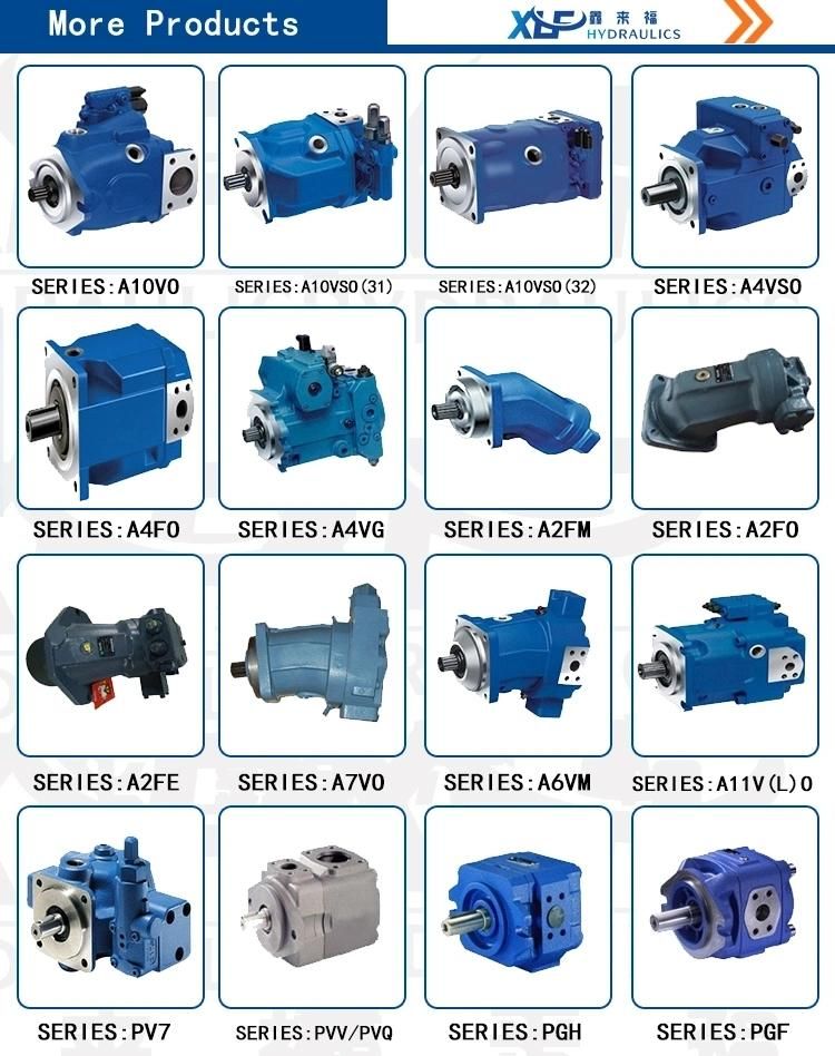 Quantitative Plunger Pump and Motor A2f107 A2f125 A2f160 A2f200 A2f250 A2f500