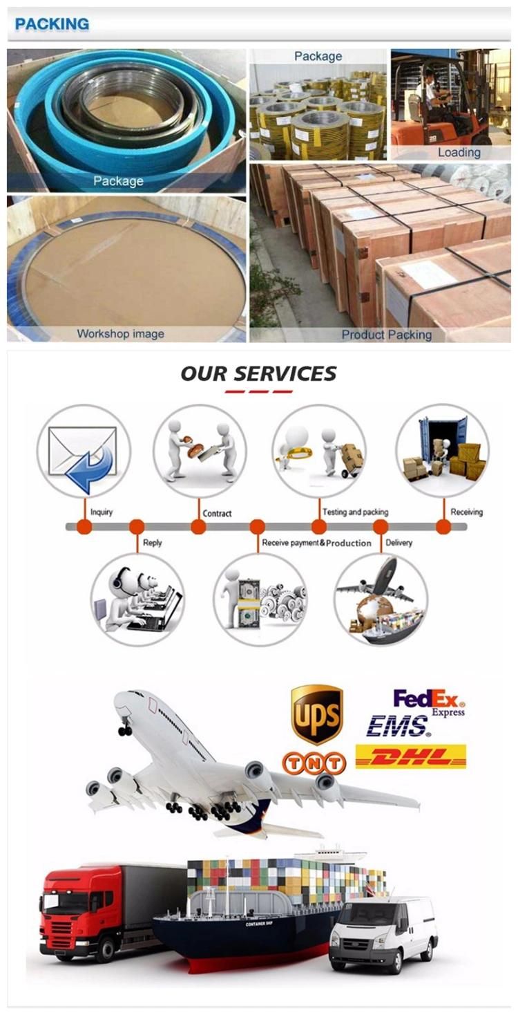 PTFE Seal Element for Hydraulic Seal