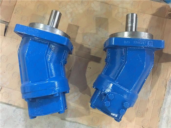 Rexroth Hydraulic Pump A2fo Series Made in China