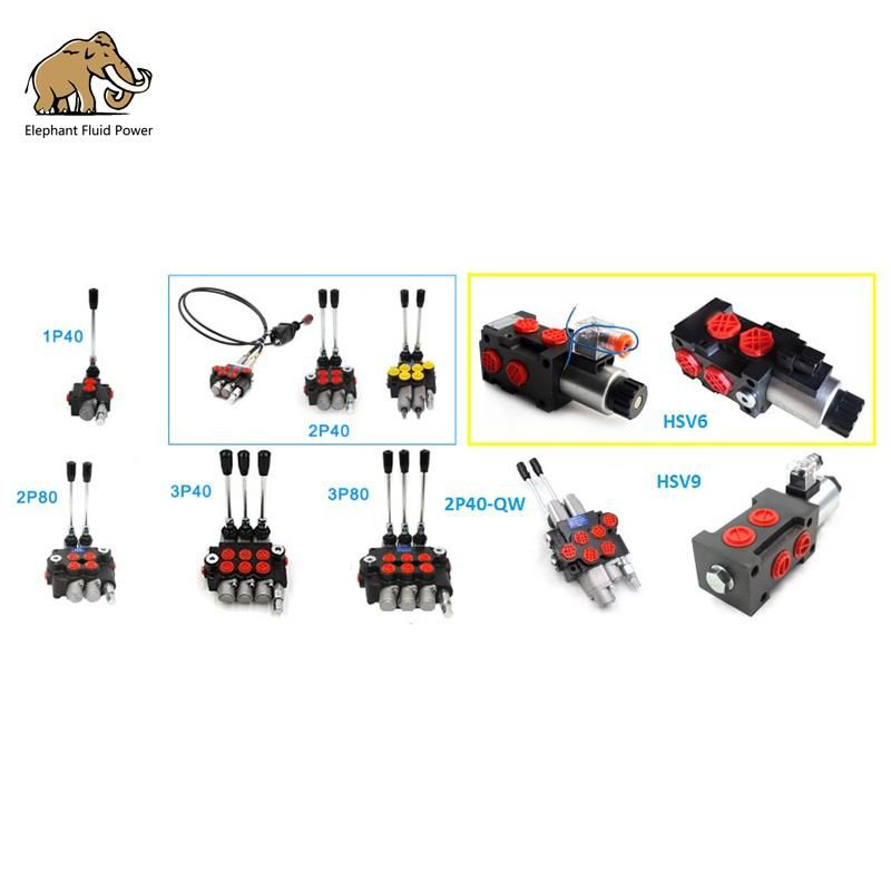 Hydraulic Valve Solenoid Valve Badestnost Type Dvs6 Valve