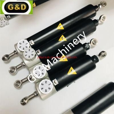 Adjustable Bidirectional Damping Hydraulic Cylinder for Row Back Fitness Equipment