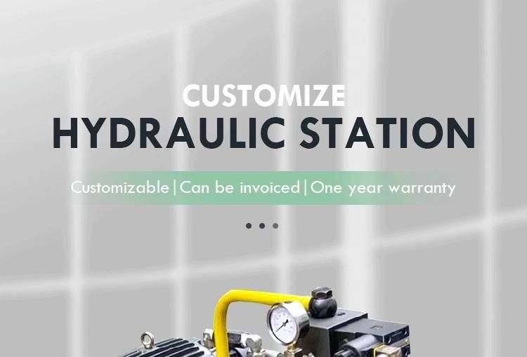 Accept Customization Electric Hydraulic Power Pack Hydraulic System for Sale