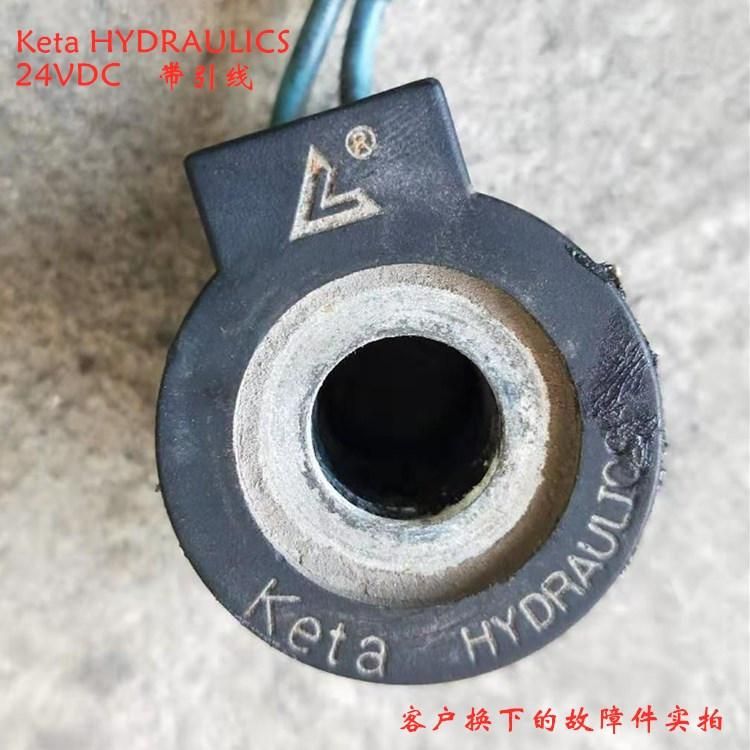 Sanitation Vehicle Coil Keta Hydraulics 24VDC Solenoid Valve Sweeper Lead 12 220 11