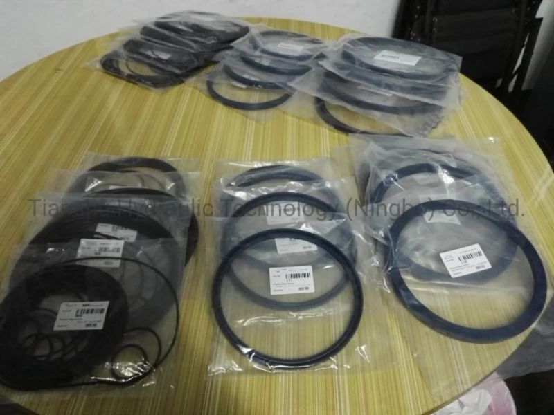 Hydraulic Spare Parts Shaft Lip Seal, O Ring, Piston Ring Hydraulic Seal for Hagglunds Ca Serial of Hydraulic Motor.