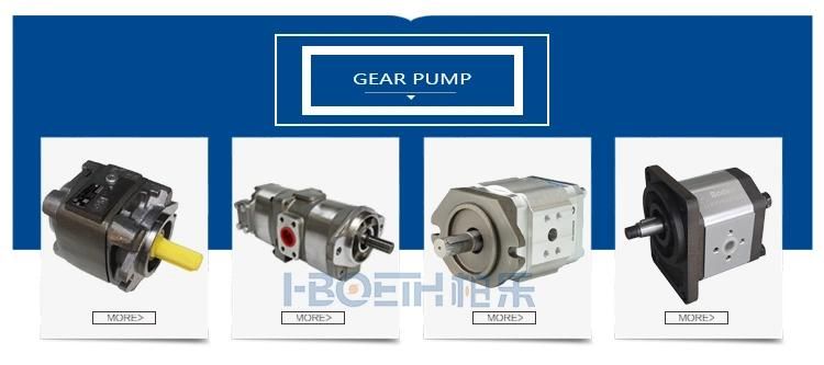 Rexroth Cdm1cgm1 Csm1 Cdh3 Cgh3 Csh3 Hydraulic Cylindermill Type High Temperature and High Pressure, Metallurgical Cylinder Rexroth