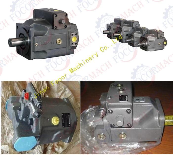 Rexroth Hydraulic Pump A4vso500 with Good Quality and Low Price