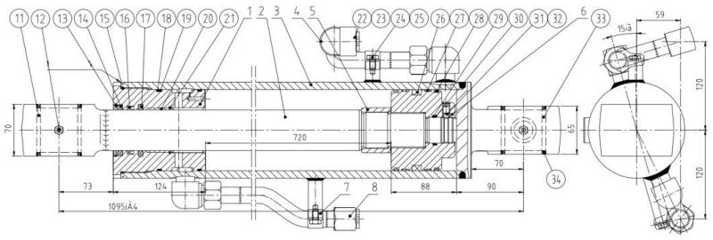 Customized Hydraulic Cylinder Hyw110/55 for Sale