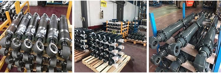 Qianglin Brand Rotary Actuator or Rotary Hydraulic Cylinder