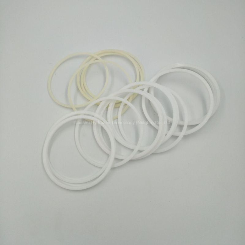 Hydraulic Spare Parts Shaft Lip Seal, Piston Ring, Wearing Part for Hagglunds Hydraulic Motor.