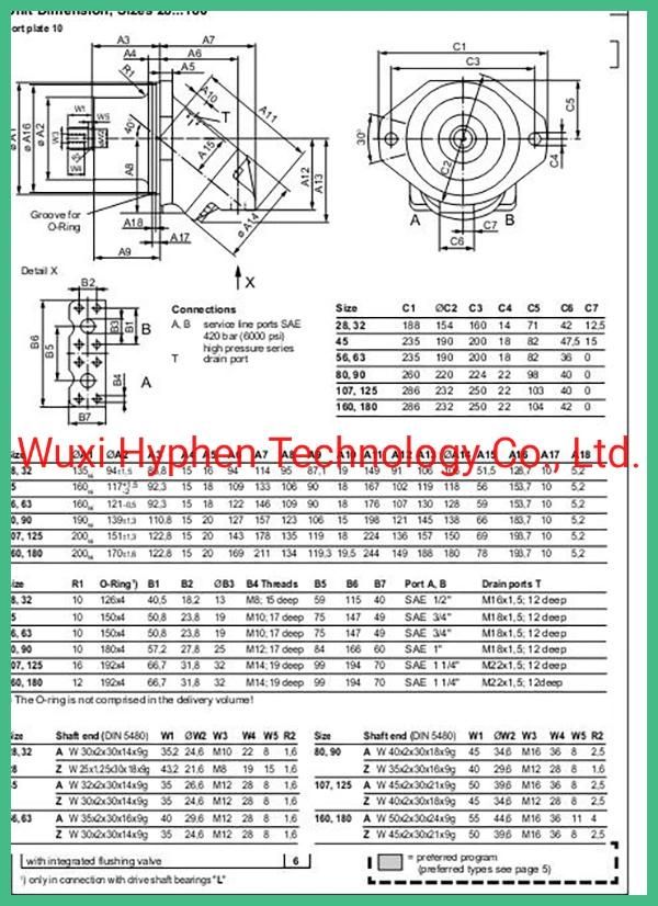 Plug Motor for Road Vichile Hydraulic Motor A2fe Series