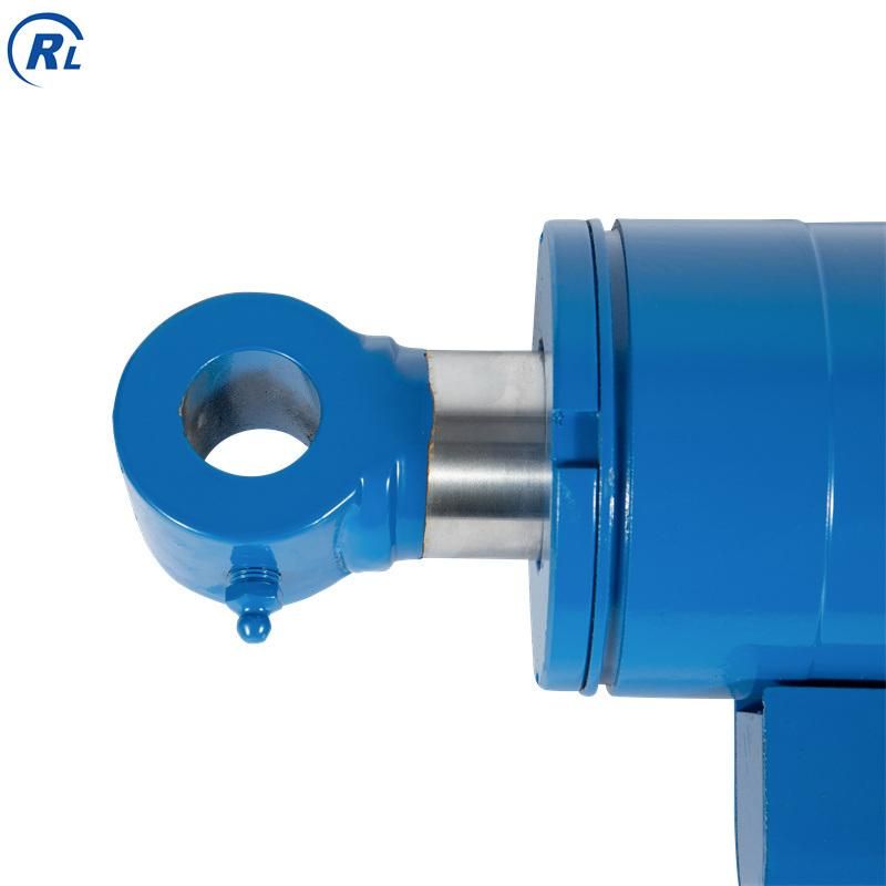 Qingdao Ruilan Customized Agricultural Equipment Hydraulic Cylinder, Agriculture Hydraulic RAM Cylinder, Agriculture Tractor Hydraulic Cylinder