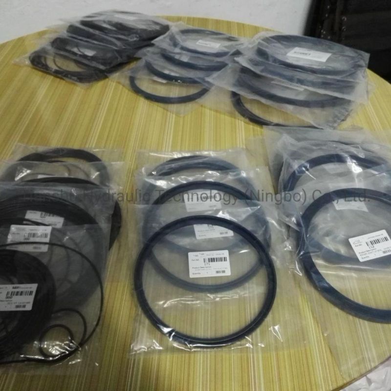 Hydraulic Fitting Seal Parts O Ring Piston Ring for Hydraulic Hagglunds Motor.