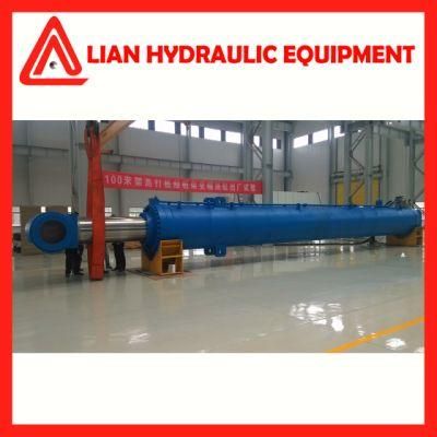 Nostandard Hydraulic Cylinder for Processing Industry