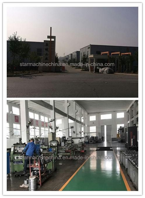 Factory Made Telescopic Double Acting Cylinder for Elevator Lifting