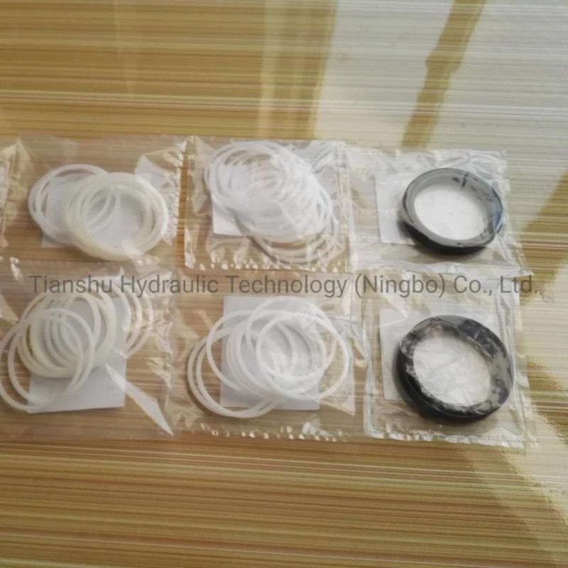 Hydraulic Spare Parts Shaft Lip Seal, O Ring, Piston Ring Hydraulic Seal for Hagglunds Ca Serial of Hydraulic Motor.