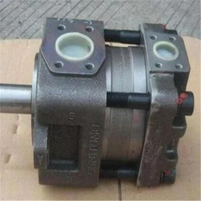 Japanese Resident Hydraulic Pump Qt63-80/100/125f-a Inner Tooth-Gear Pump Sumitomo High-Pressure Oil Pump