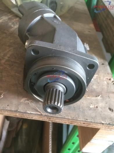 Hydraulic Mototor A2FM16/61W/Vab040 Piston Motor Good Supplier