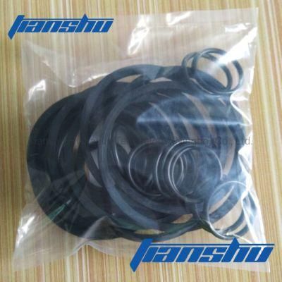 Hydraulic Fitting Seal Parts O Ring Piston Ring for Hydraulic Hagglunds Motor.