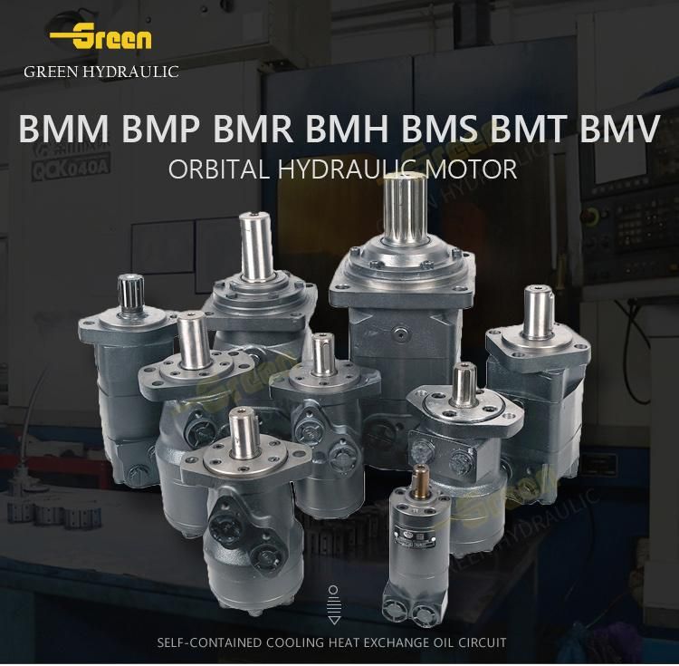 Hydraulic Orbital Motor Bmr50 Bmr80 Bmr100 Bmr125 Bmr160 Bmr200 Bmr250 Bmr315 Bmr375