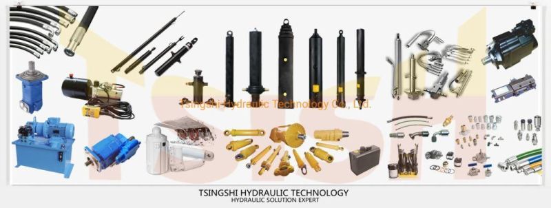 Tsish OEM Welded Double Acting Brick Machine Hydraulic Cylinders