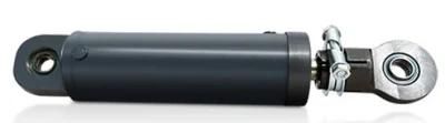 Cheap 10 Ton Small Size Hydraulic Cylinder/RAM Customized