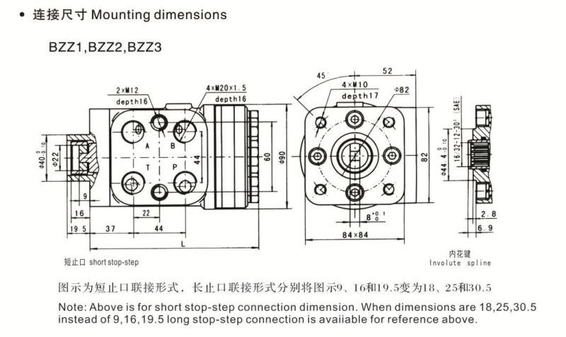 Bzz1-250, 315 Hydraulic Steering Control Units for Boat, Marine