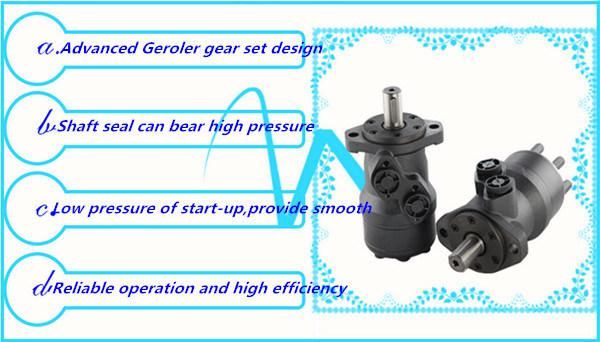 OMR/Bmr/Smr/Omrs/Ds High Quality Hydraulic Orbit Motor