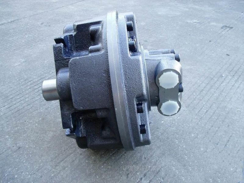 Single Speed Rexroth Staffa Hydraulic Motor From Chinese Manufacturer Good Price Hmb 060/080/100/125.