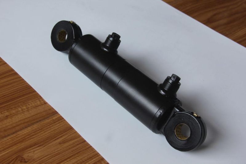 Customized Hydraulic Cylinder Single Double Action High and Low Pressure Performance High Power