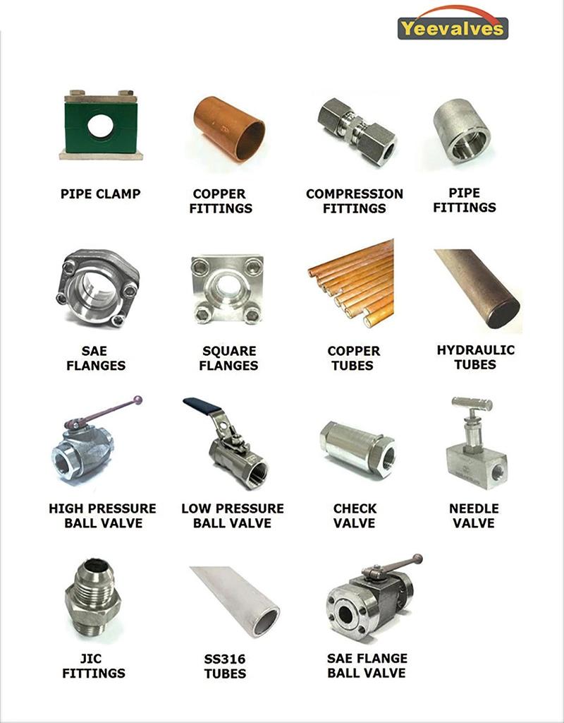 Sun Rexroth Hawe Cartridge Valve China Special Hot Selling Hydraulic Cartridge Valves and Manifolds Check Valves