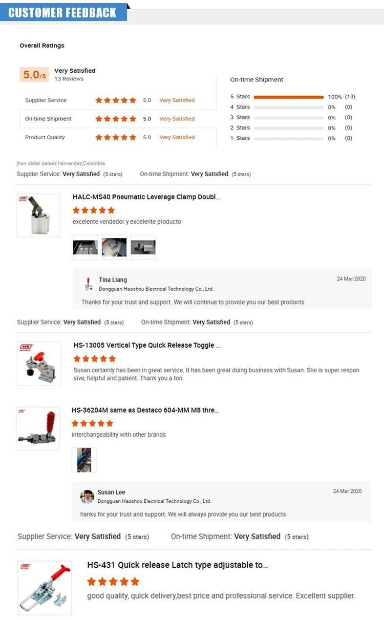 Haoshou Hsl-40SL-90 Double Acting Fixture Hydraulic Swing Clamp Cylinder Used for Mc Jig