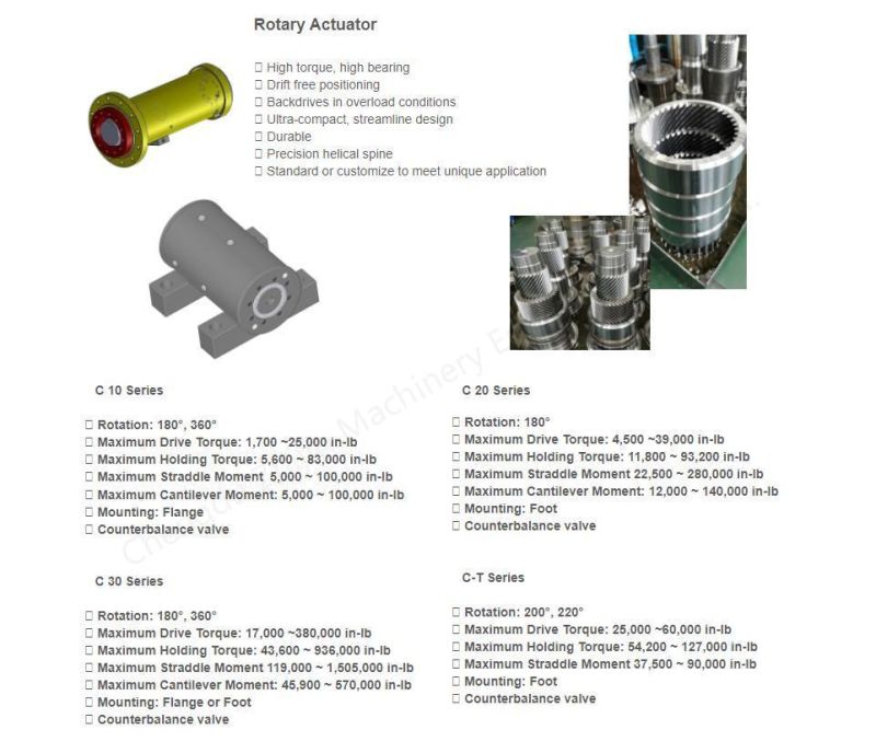 Standard/Custom Made Tie Rod Hydraulic Cylinder Welded Hydraulic Cylinder for North American Europe and Australia Market