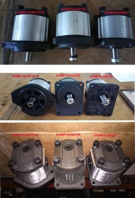 Hydraulic Gear Pump Motor for Hydraulic System