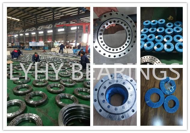 Internal Gear Slewing Rings 213DBS105y Turntable Bearing