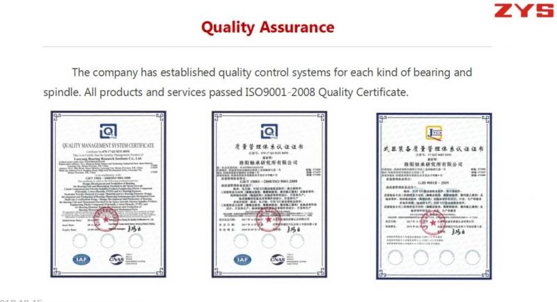 Zys High Quality Cylindrical Roller Bearings Nj206e for Industrial Machine