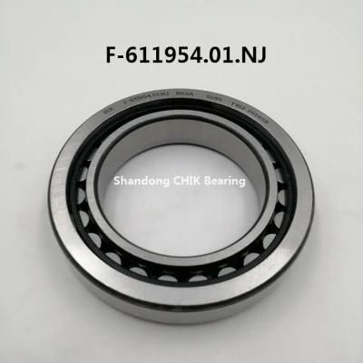 F611954.01. Nj Auto Bearing Cylindrical Roller Bearing 60*95*18mm