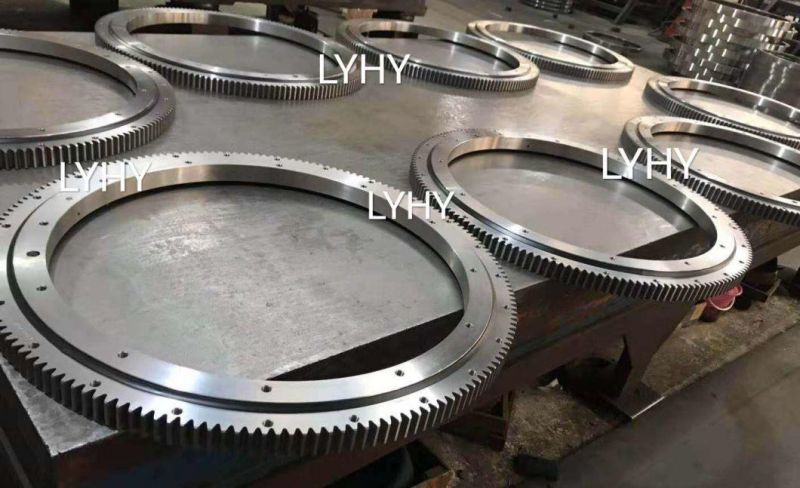 Lyhy Four Contact Ball Slewing Bearings Truntable Bearings with Internal Gear 2di. 095.10