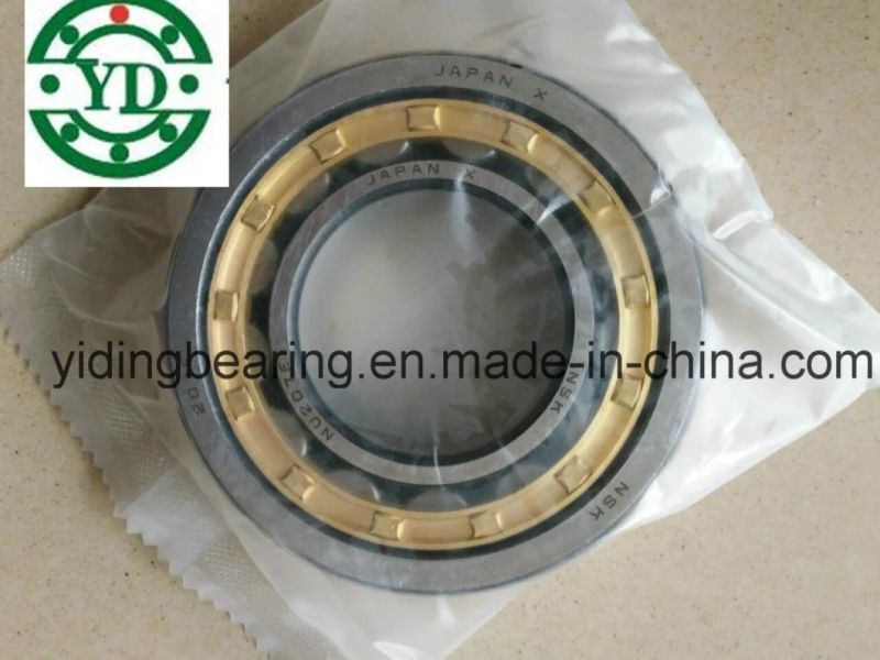 Nn Nj Nu Nup Cylindrical Roller Bearing NSK Nup304em