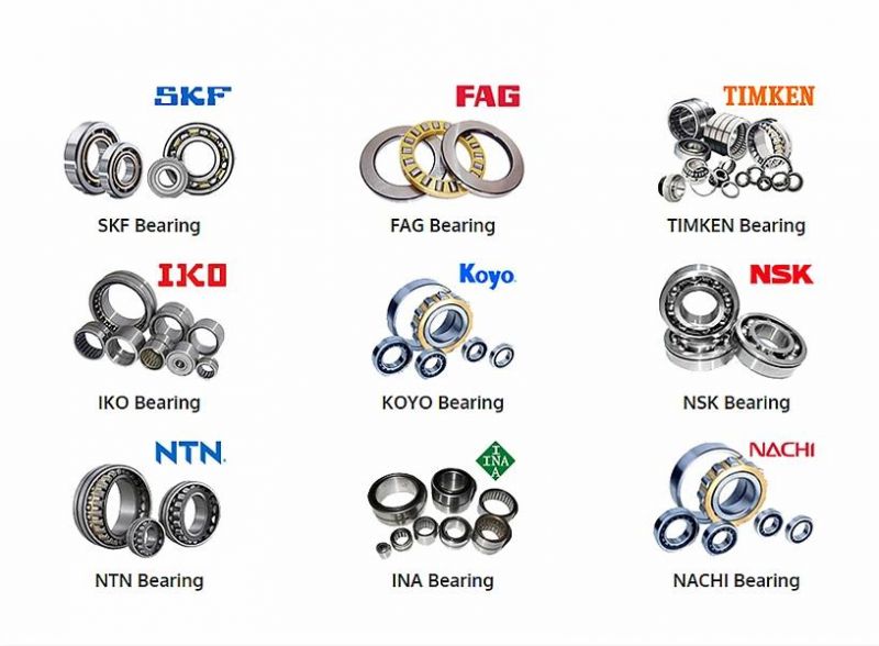 Auto Parts Auto Bearing Motorcycle Bearing Bicycle Bearing Agricultural Bearing 6000-2RS1 6001-2RS1 6002-2RS1 6003-2RS1 6004-2RS1 6005-2RS1 for SKF Ball Bearing