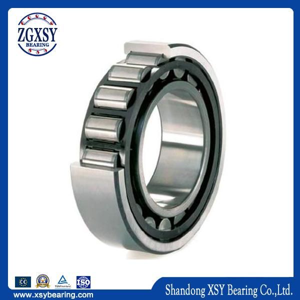 Nu Type N212 Nu19/500 Cylindrical Roller Bearing