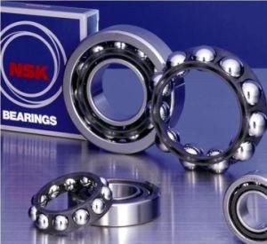 SKF 61956 61960 61964 61968 61976 61980 61988 61992 Bearing with Ball Bearing