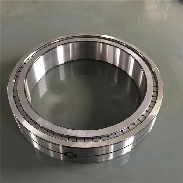 Chik/NSK/SKF/NTN/Koyo/ /Timken Brand N2205~N2230 Model Cylindrical Roller Bearings for Sale