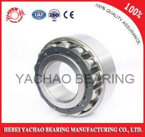 Cylindrical Roller Bearing (N204 Nj204 NF204 Nup204)